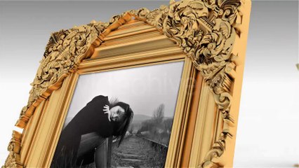 Royal Frames Photo Gallery - After Effects Template