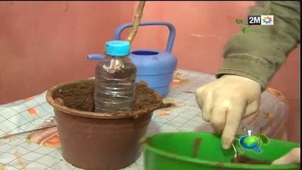 دير بحالي : الثلاثاء 22 أبريل