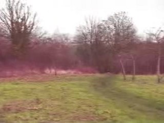Clip foret nicolas 3