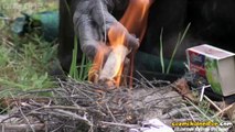 Ateş Yakıp Marshmallow Pişirip Yiyen Bonobolar