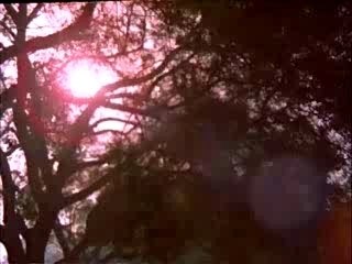 Neela Aasman So Gaya