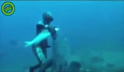 Adam Avladığı Balığı Başka Bir Balığa Kaptırıyor!!