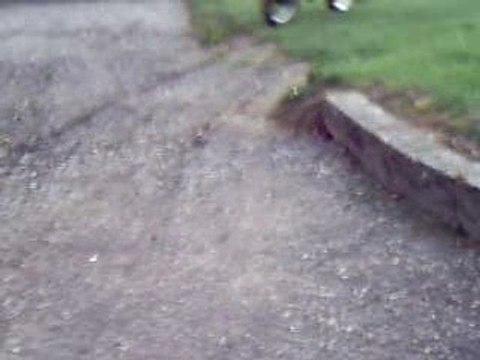 XP6 Q du 27 et Pedro