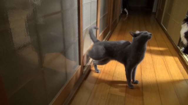 Kapıyı Açar mısınız?