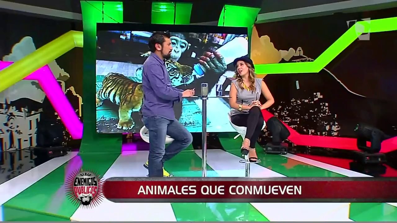 Enemigos Públicos: cuando la amistad entre los animales no tiene fronteras