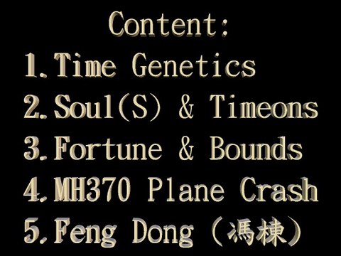 5.Wong's Forensic Mathematics: Why Feng Dong (馮棟) is a victim on Malaysia Airlines MH370 plane crash ? ptmae.orgfree.com