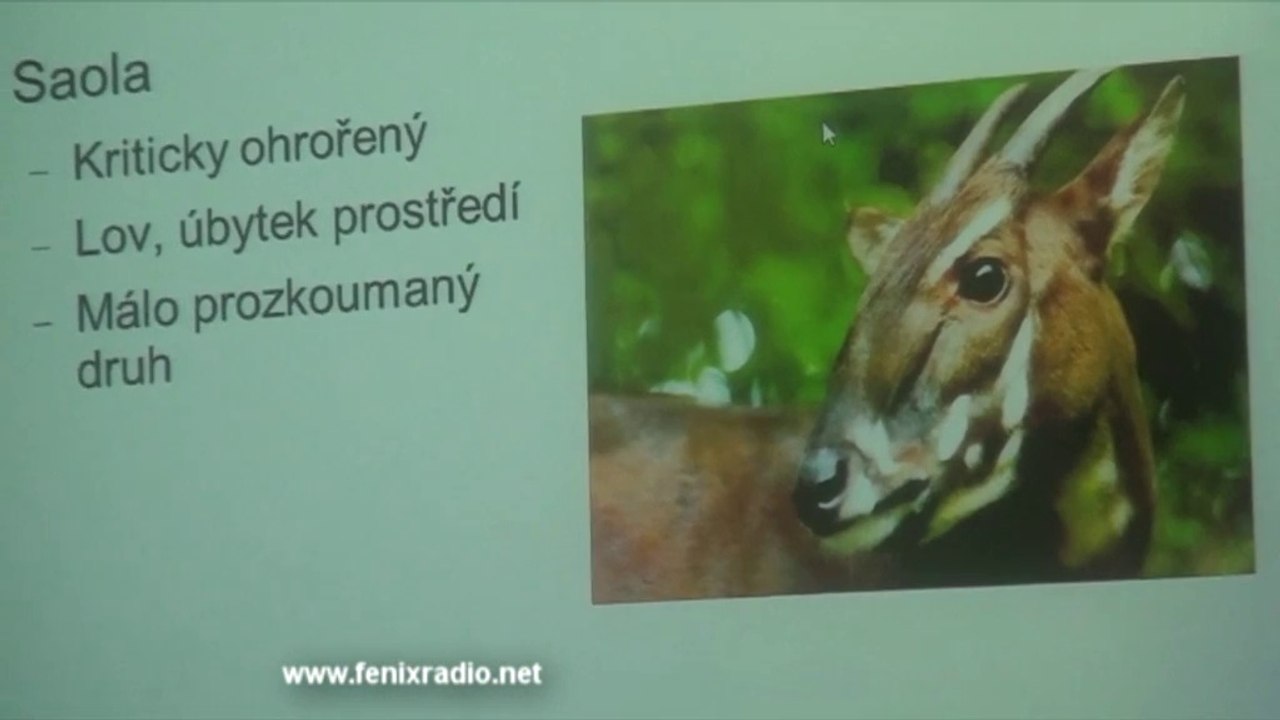 Kryptozoologická konference 2014 ( Bc.Tomáš Krajča)