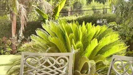 Lush Haul ♥♥ مشترياتي من لش