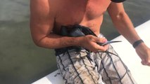 Fisherman Saves Baby Blue Heron Caught In Fishing Line