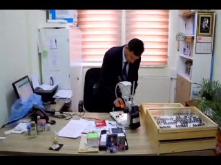 Türk bilim adamı yeni böcek türleri tespit etti - Pcs Pest Kontrol İlaçlama