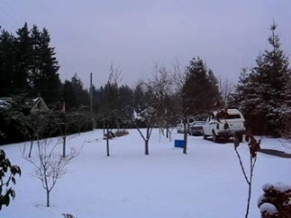 MVI_1-13-07snow