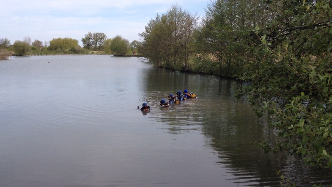 Des plongeurs inspectent le fond de l'étang
