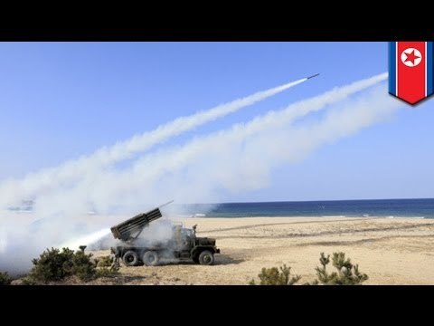 North Korea fires 30 short-range missiles into Sea of Japan