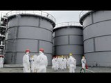 Fukushima cleanup: extracting nuclear fuel rods from damaged reactors