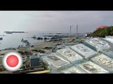 48 million dollars worth of cocaine wash ashore upon a Japanese beach