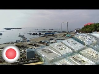48 million dollars worth of cocaine wash ashore upon a Japanese beach