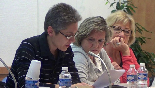 conseil municipal de Villeneuve-le-Roi - 17 avril 2014 - 4ème partie