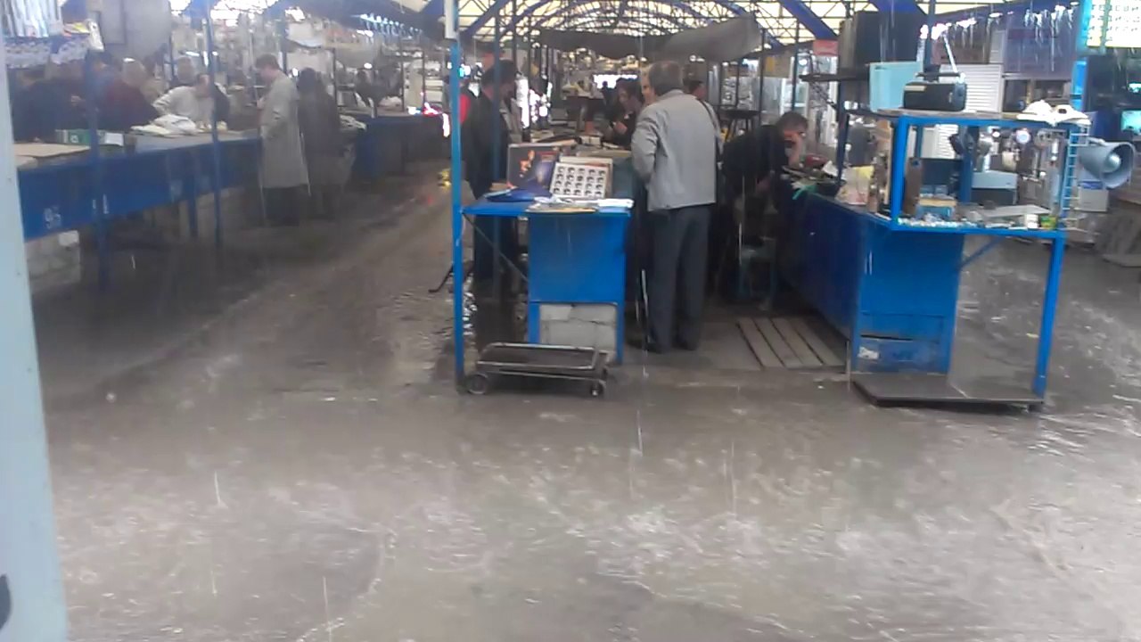 VIDEO0005