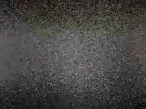 RIBERY PETE LES PLOMBS