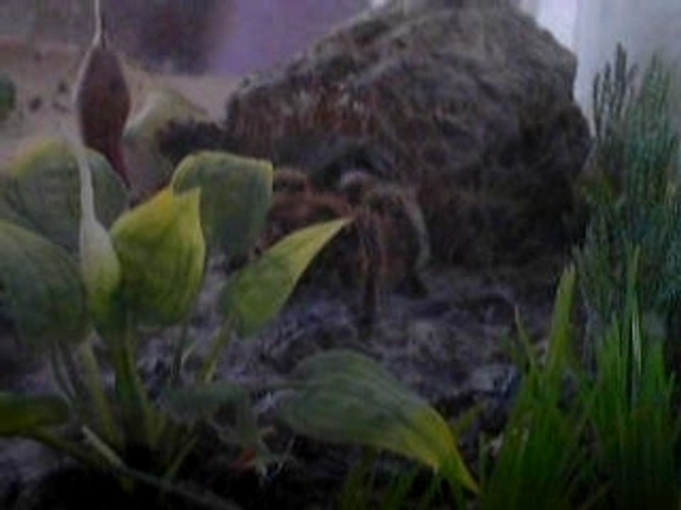 choupette, on t'oublira pas...