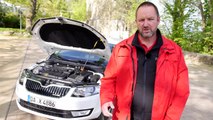 Skoda-Grün auf der ganzen Linie - Octavia GreenLine Test & Fahrbericht