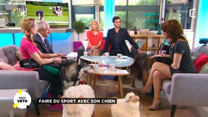Je fais du sport avec mon chien