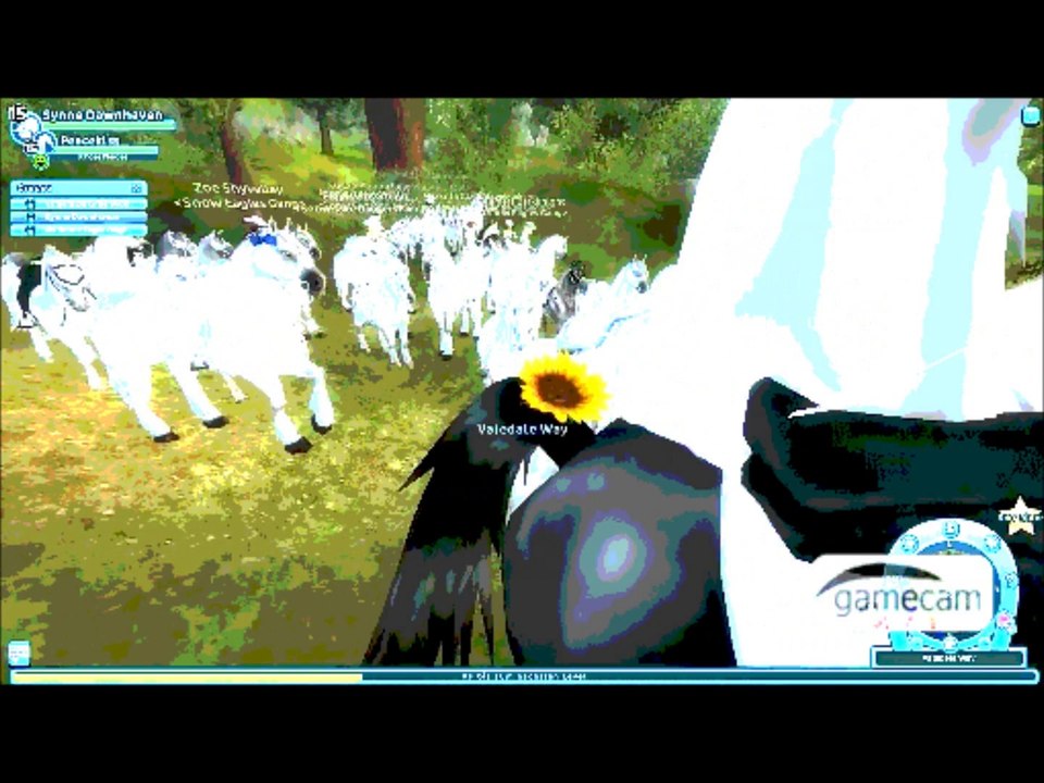 Just white ritt v. 22.04.2014