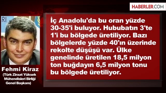 Ziraatçiler Derneği: Buğdayda Felaketin Eşiğinden Dönüldü