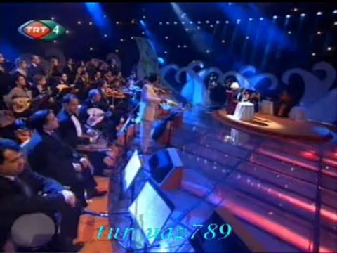 Nalân ALTINÖRS-Yeşil Ördek Gibi Daldım Göllere