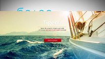 Партнерская программа от Tigerrr