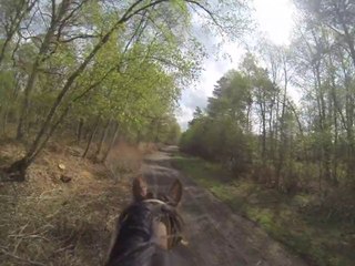 23.04.2014.e.tenebra.neo.galop