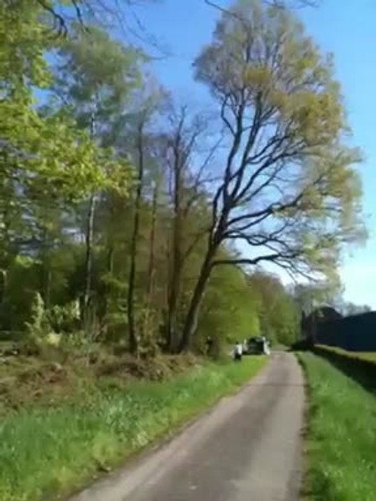 Locquignol : quand l'arbre coupé tombe du mauvais côté...