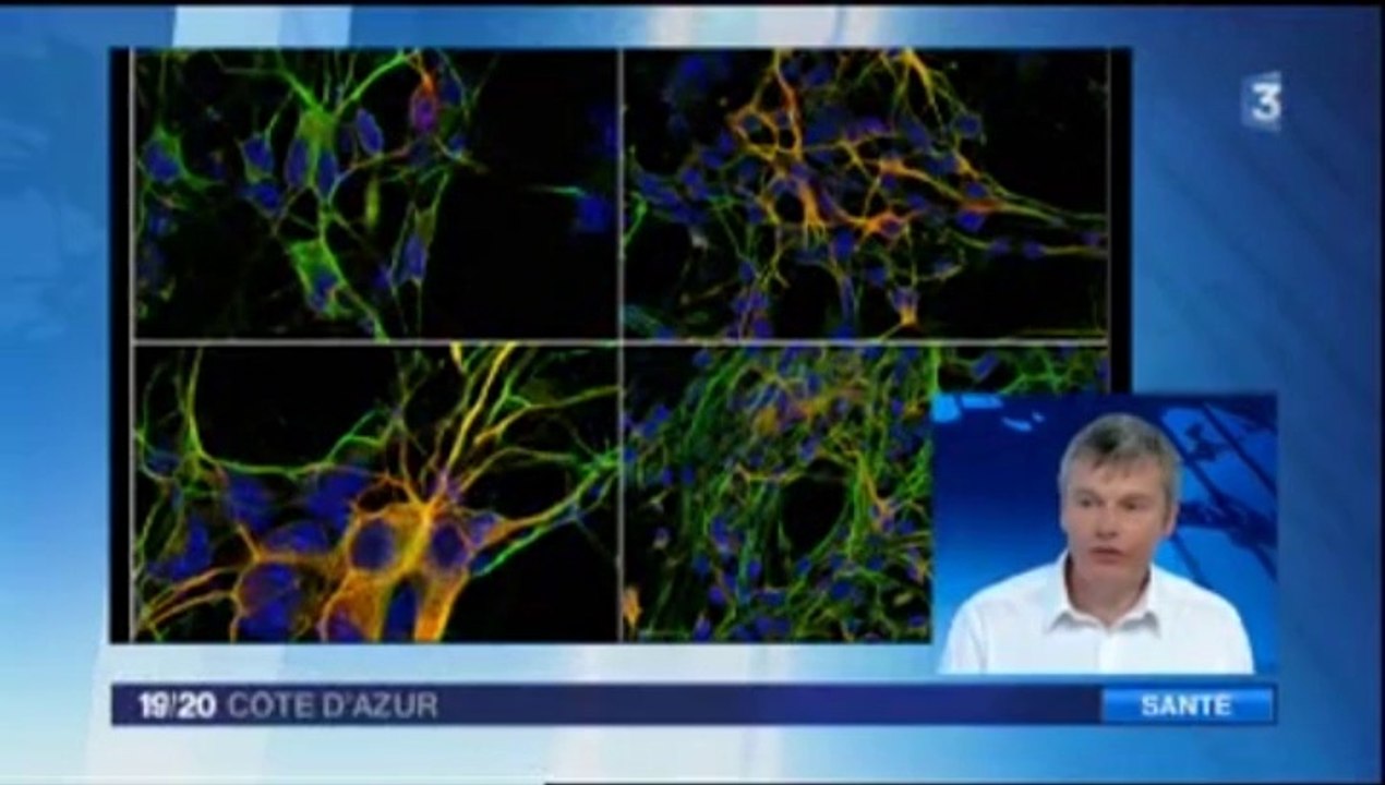 JT France 3 - Semaine du cerveau 2014 - Invité Jacques Noël, Professeur à l'Université Nice Sophia Antipolis et chercheur à l'IPMC (CNRS-UNS)