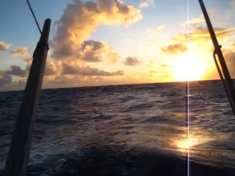 Matin de l'arrivée aux Antilles sous spi