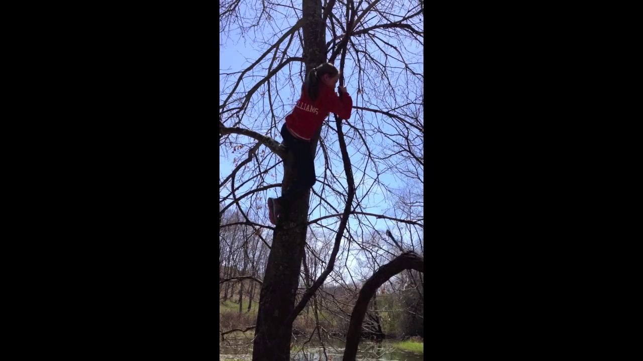 Ron Sandack Climbin' Trees