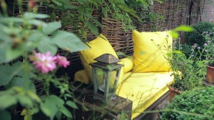 Miranda's Garden - It’ll Never Be a Garden if You Call it a Yard