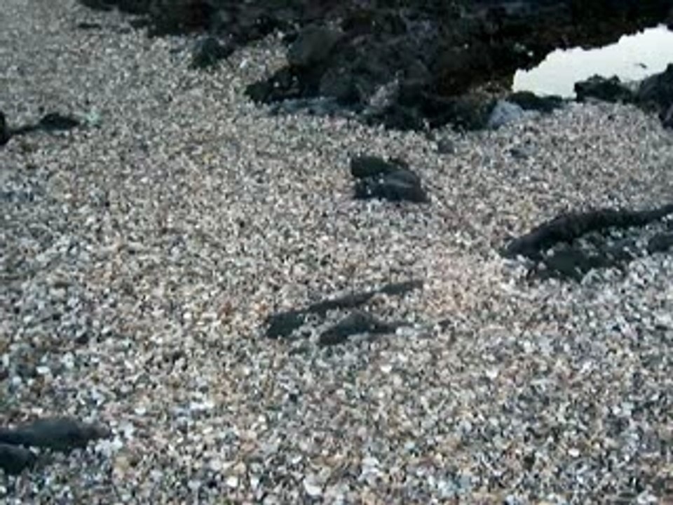 Sur La Plage de Monpadour