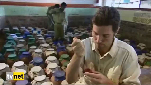 Zehirin bir damlası bir bardak kanı, hem de çok kısa bir sürede bakın ne hale getiriyor...