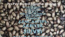 istanbul böcek ilaçlama-Pcs Pest Kontrol İlaçlama