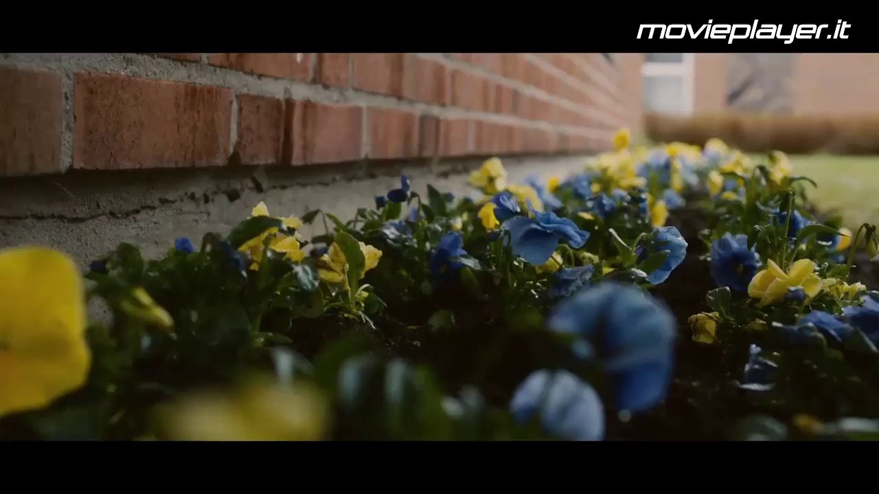 Il centenario che saltò dalla finestra e scomparve - Video recensione