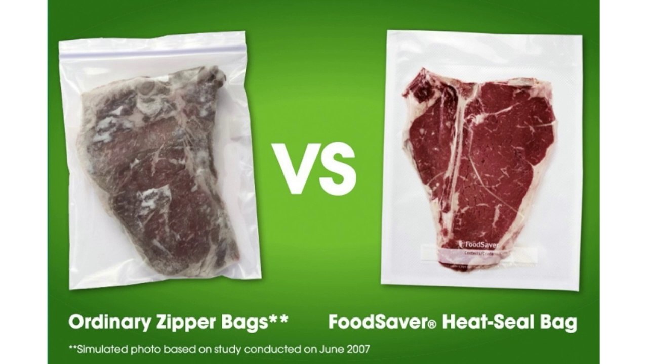 FoodSaver GameSaver Bronze Vacuum Sealer Review