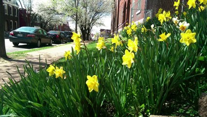 HTC One M8 Review! - SoldierKnowsBest