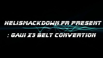 Gaui x3 belt convertion Florent Orsini