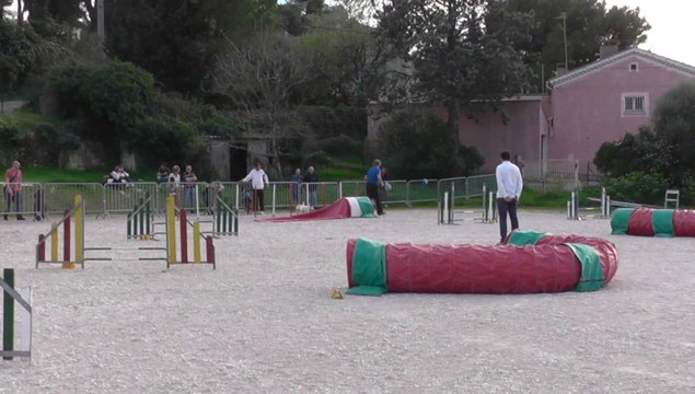 elton ollioules 16mar14 jumping