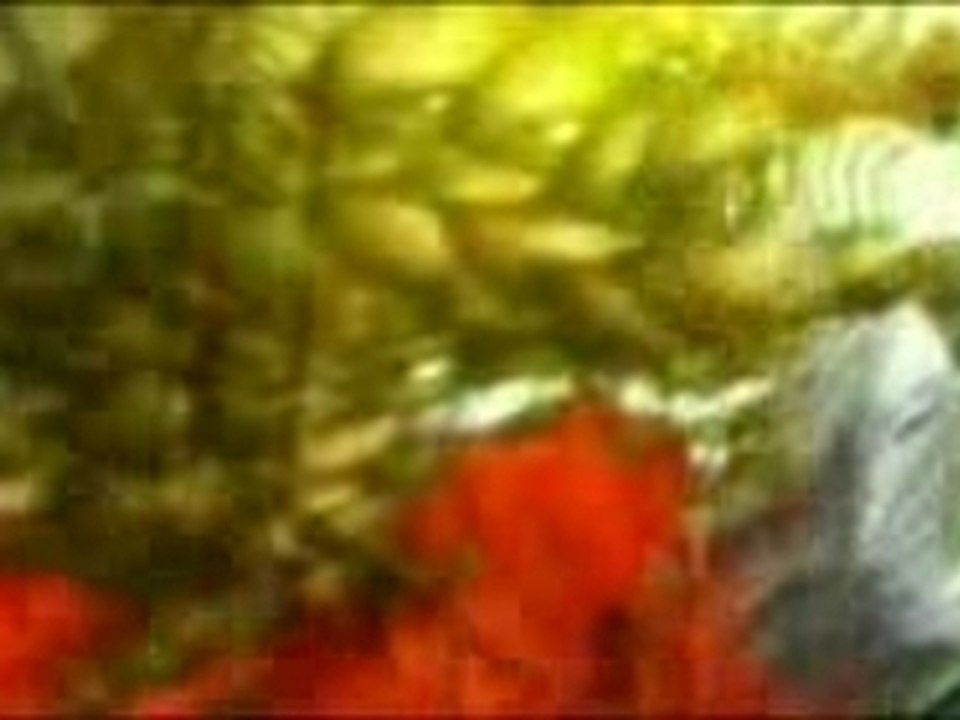 Dj Ross Vs Double You - Get Up