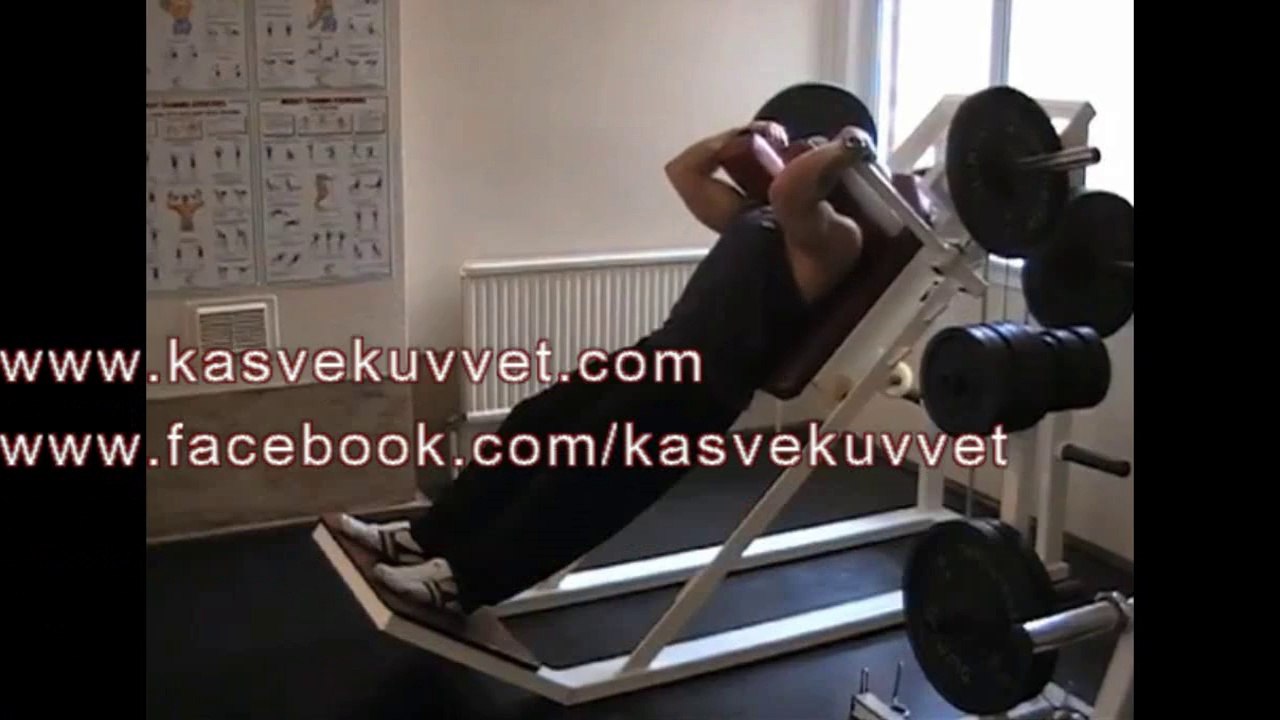 Hack Squat