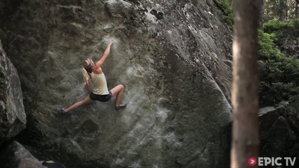 Magic Wood, le plus beau spot d'escalade du monde ?