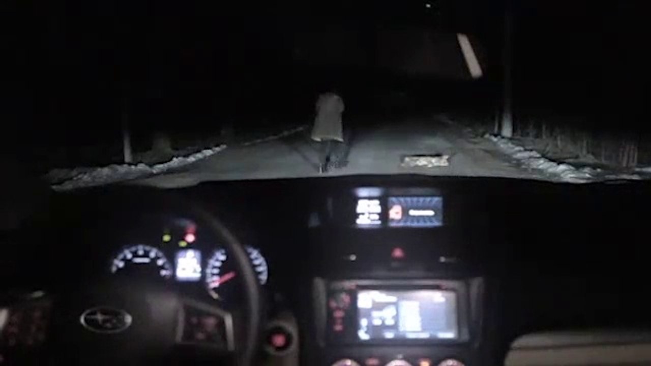 Une femme percute un chien sur une route