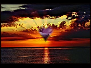 mor güllerin kokusuna -ferdi tayfur