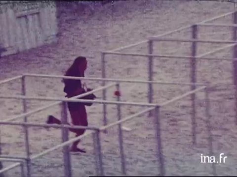 Plage parking dans le Finistère